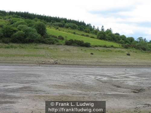 Lough Nasool Drained (2006)